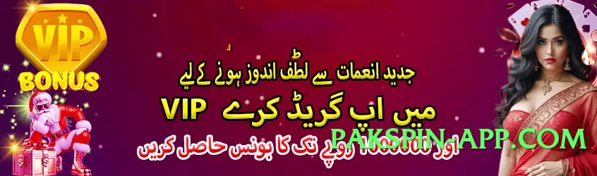 r789 v1.0.1 2025 Screenshot 2